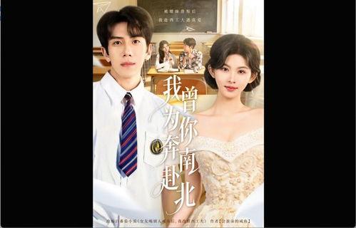 我曾为你奔南赴北,曾为你奔走的青春岁月