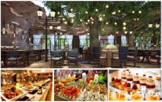 双子酒廊,品味都市繁华的奢华夜生活